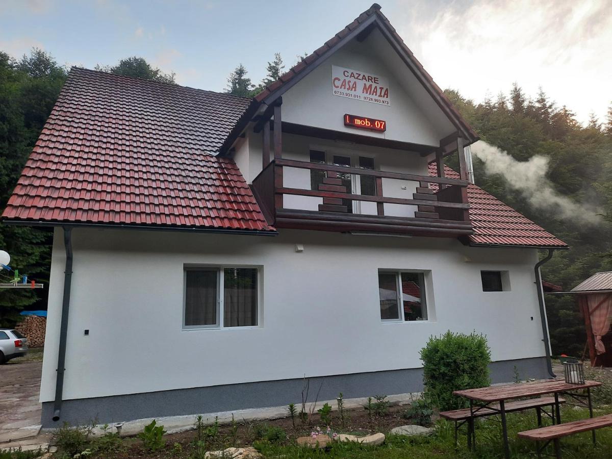 Ferienwohnung Casa Maia Cîrţişoara Exterior foto