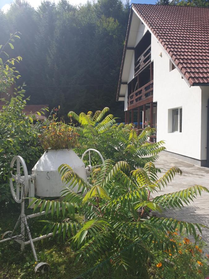 Ferienwohnung Casa Maia Cîrţişoara Exterior foto