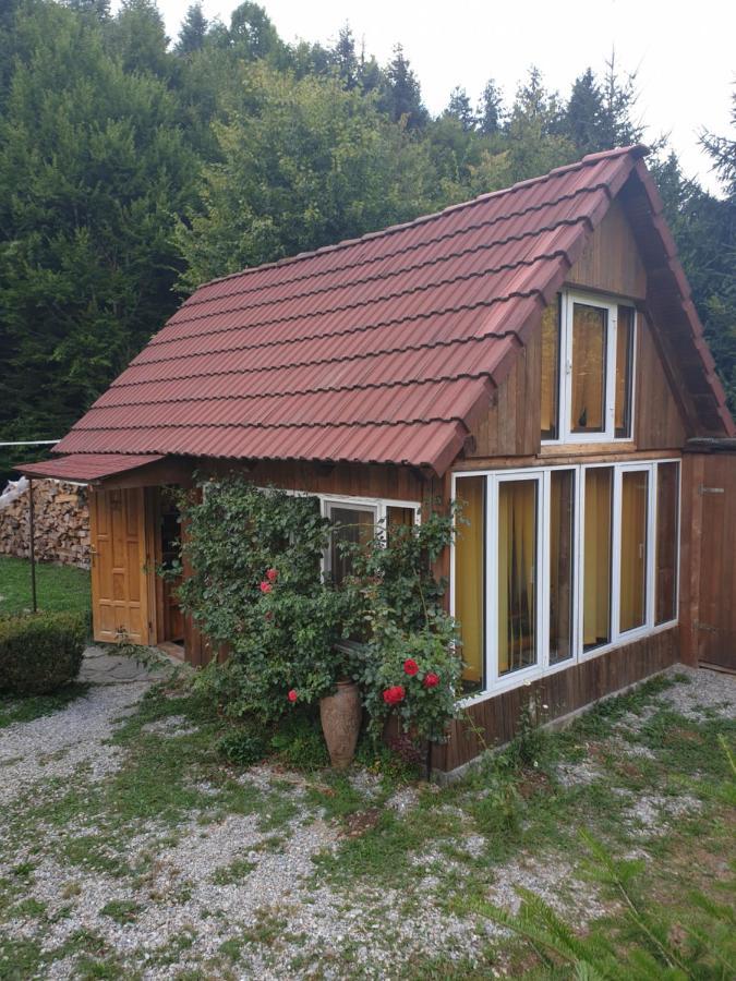 Ferienwohnung Casa Maia Cîrţişoara Exterior foto